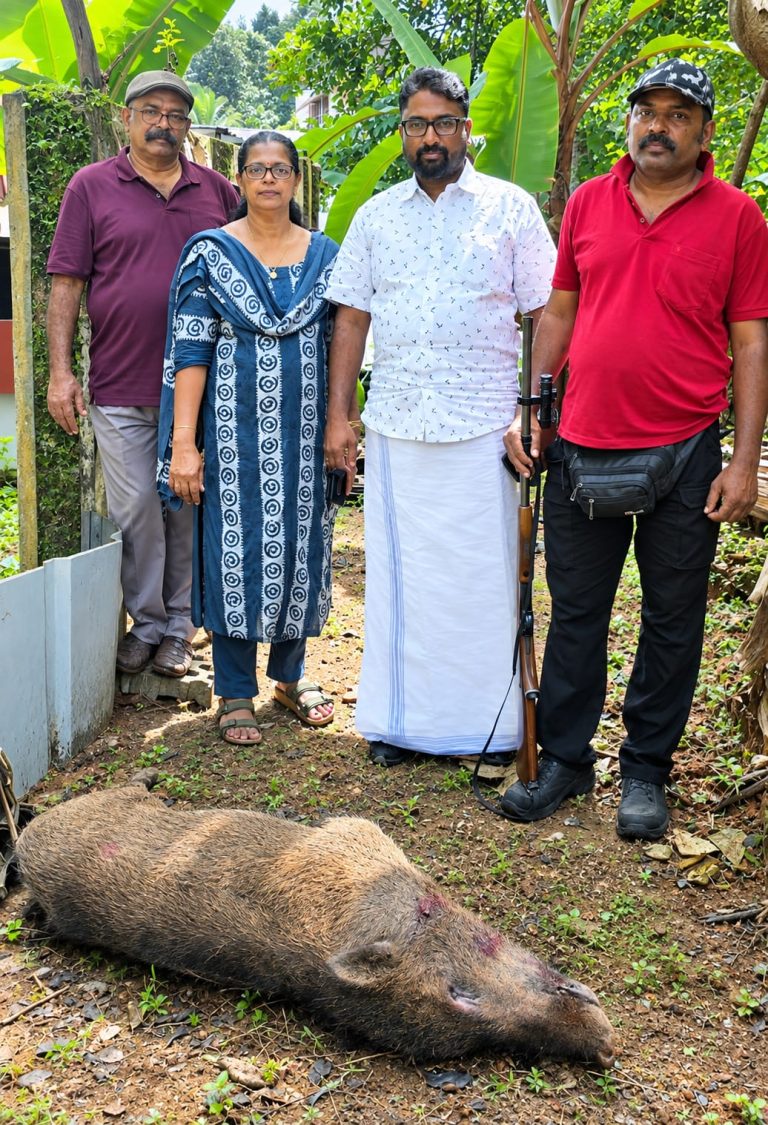 ചെത്തോങ്കരയിൽ കാട്ടുപന്നി ആക്രമണത്തിൽ വിമുക്തഭടന് പരിക്ക്